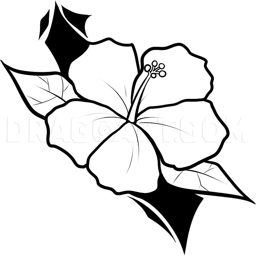 How To Draw A Hawaiian Tattoo Hawaiian Tattoo Step 4 Hawaiian Flower