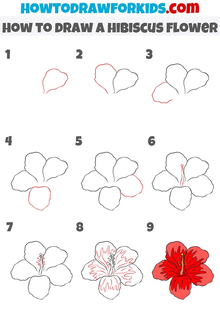 How To Draw A Hibiscus Flower Artofit