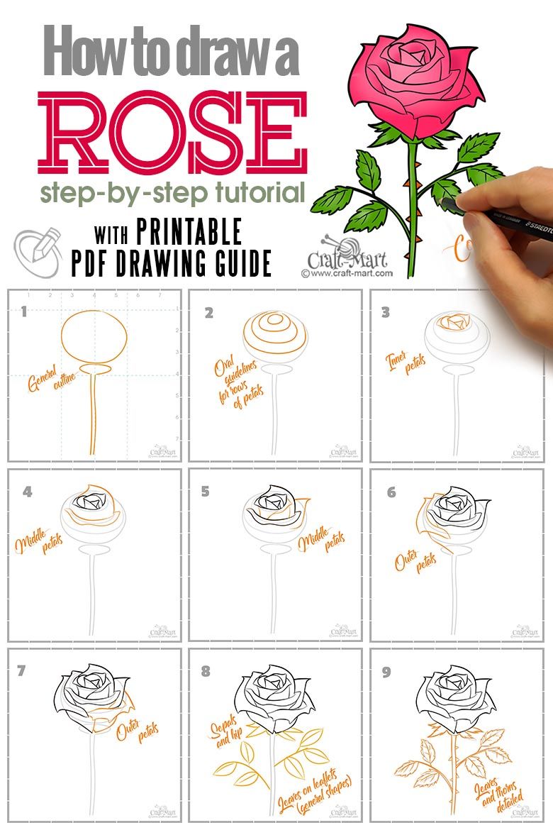 How To Draw A Rose A Step By Step Guide