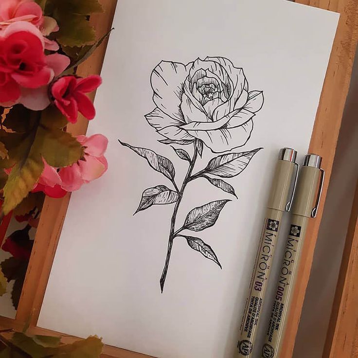 How To Draw Roses Easy Ideas And Tutorials Beautiful Dawn Designs