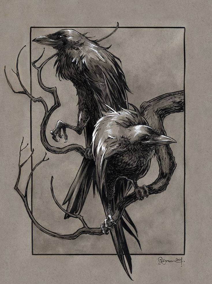 Huginn And Muninn By Https Www Deviantart Com Danielgovar On