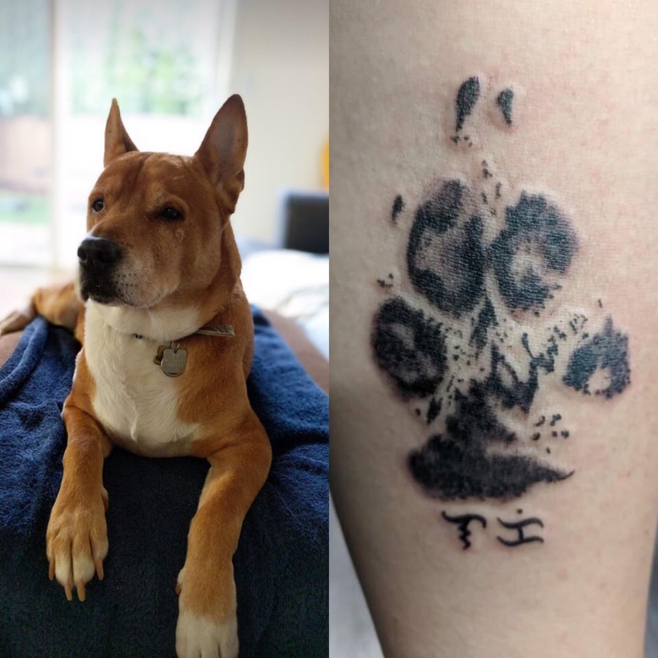 In Memoriam Lucky Paw By Rory From Breaking Ink Tattoo In Hillsboro