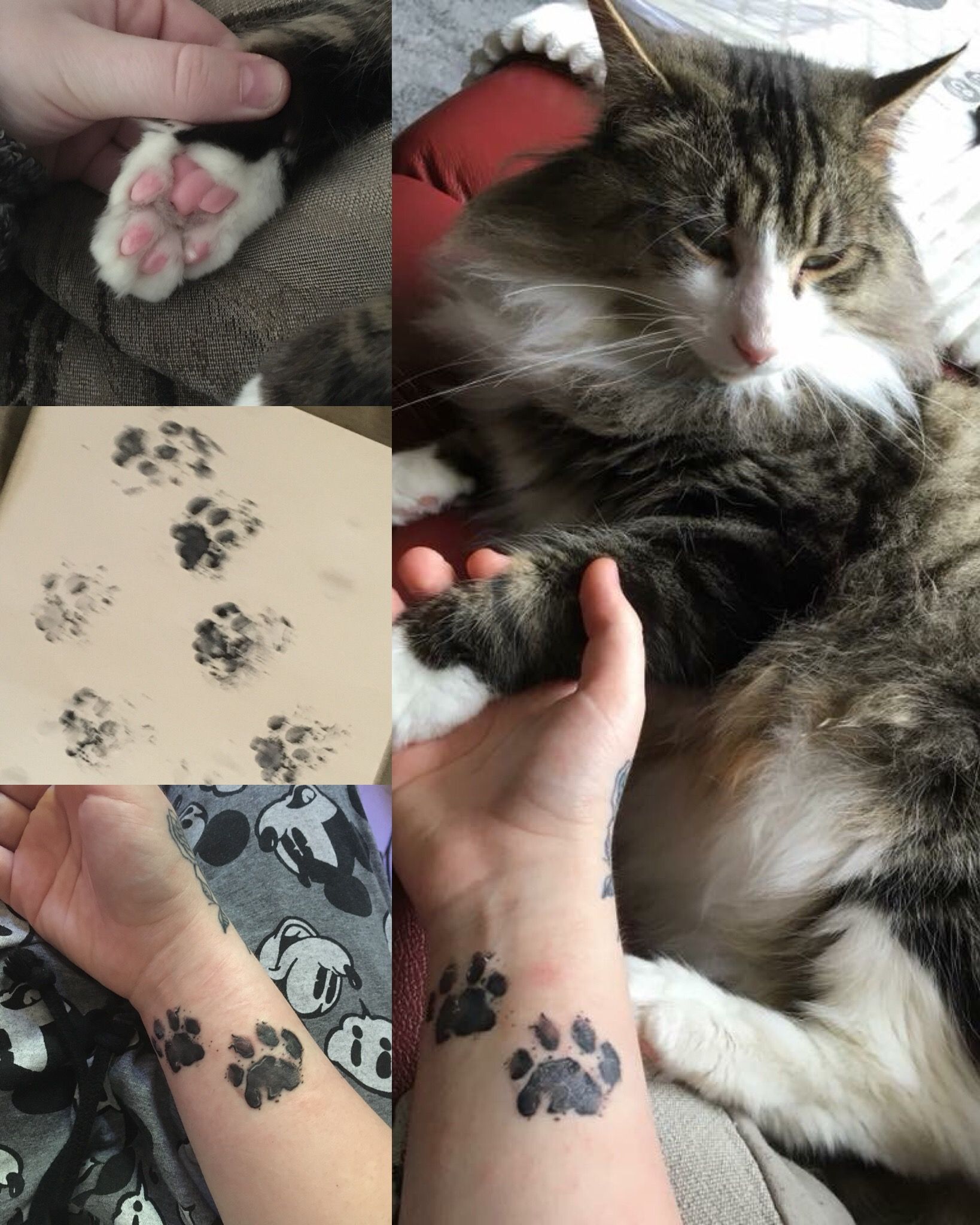 Cute Kitty Cat Paw Print Tattoo Ideas