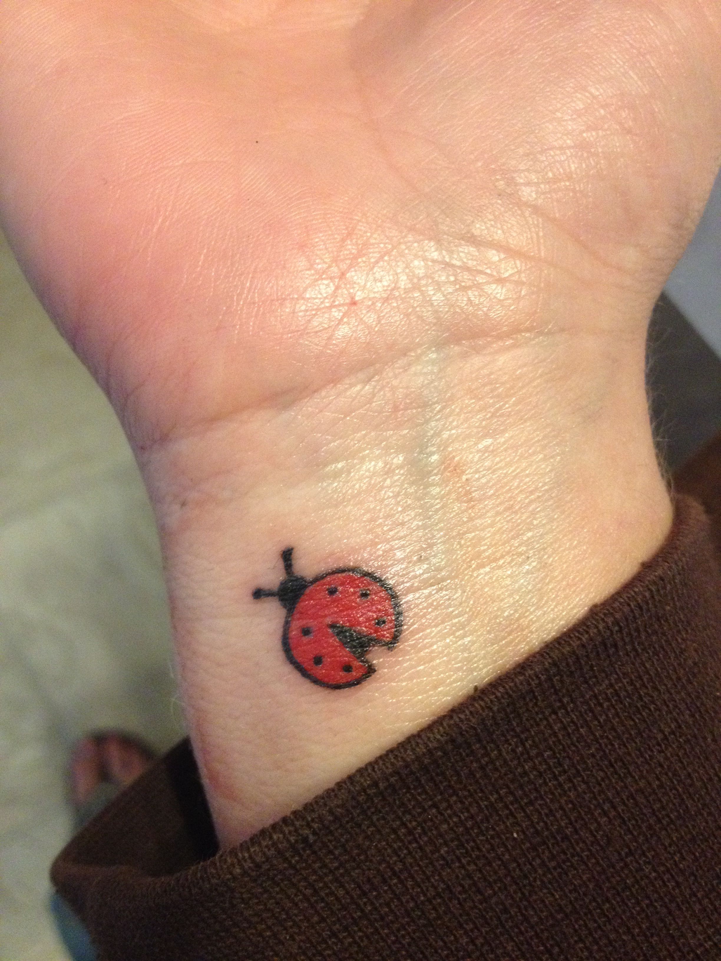 Ladybug Tattoo Lady Bug Tattoo I Tattoo Paw Print Tattoo Bug Killer