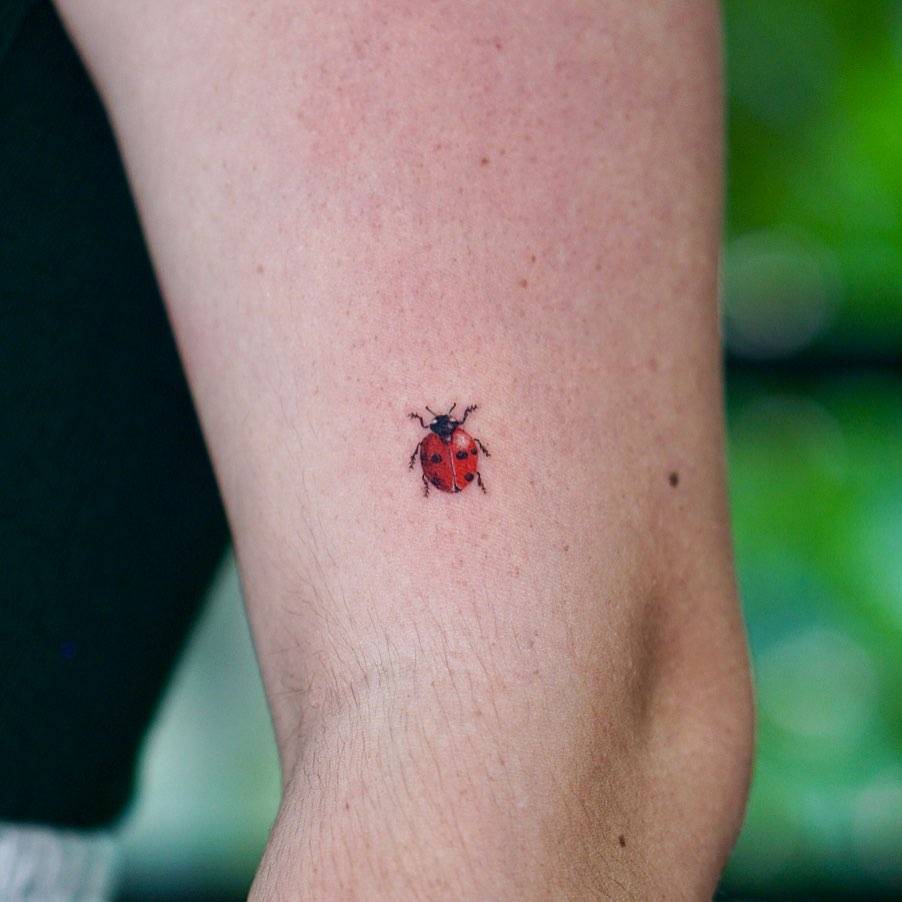 Ladybug Tattoo Realistic