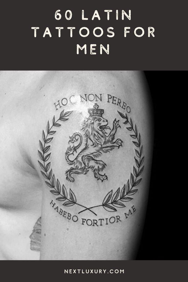 Latin Tattoos For Men Ideas And Designs For Guys