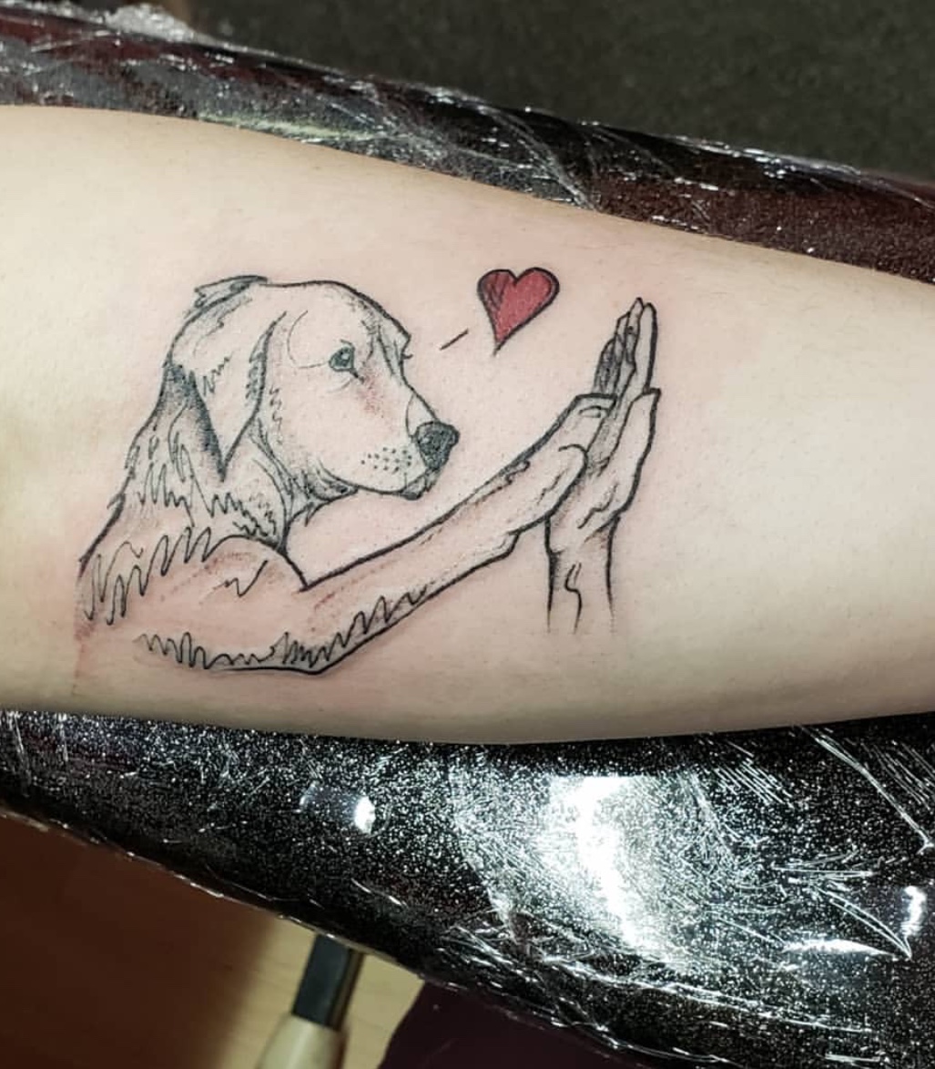 5 Unbelievable Reasons Golden Retrievers Love Tattoos