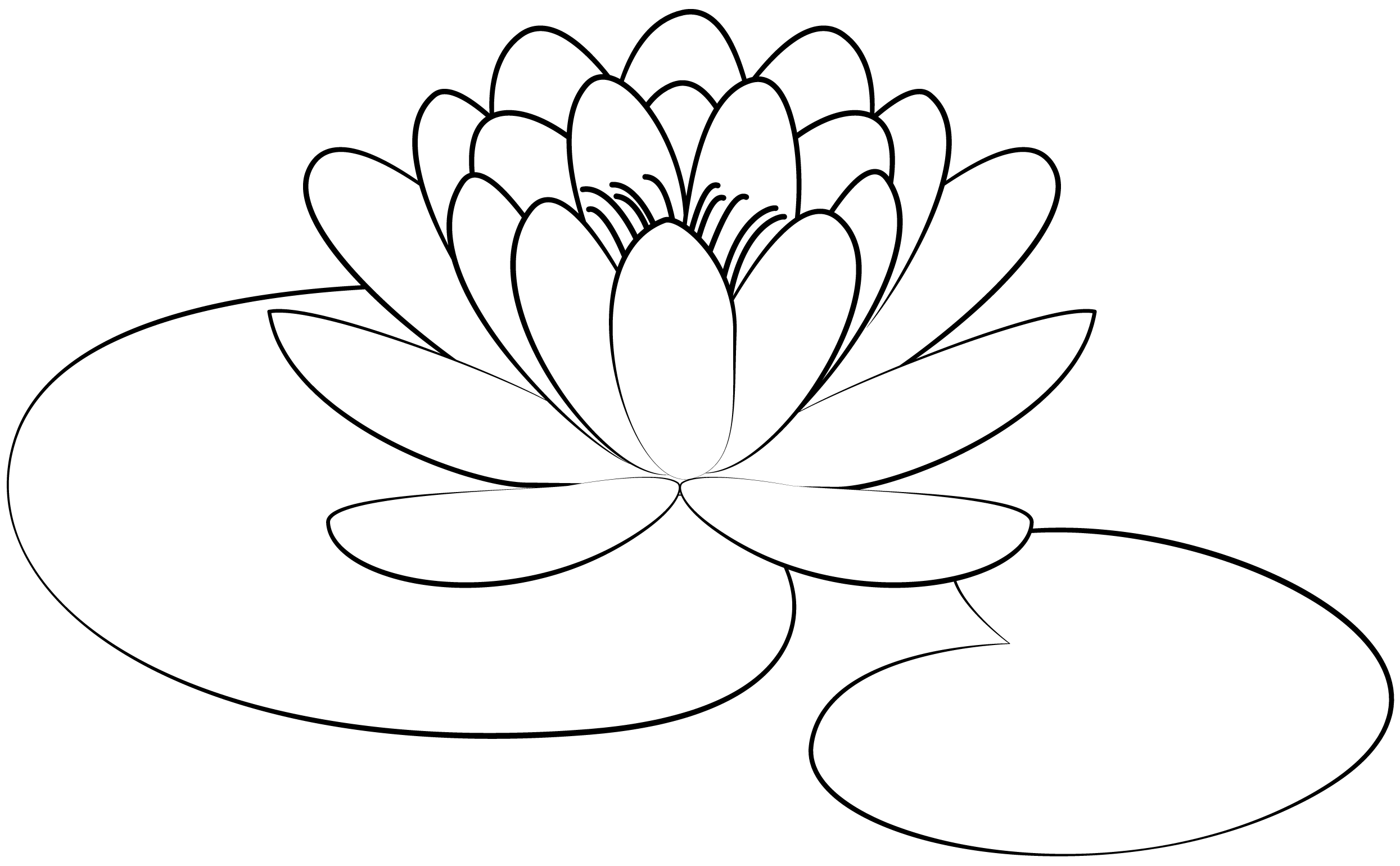 Lily Pad Flower Tattoo Printable Computer Tools