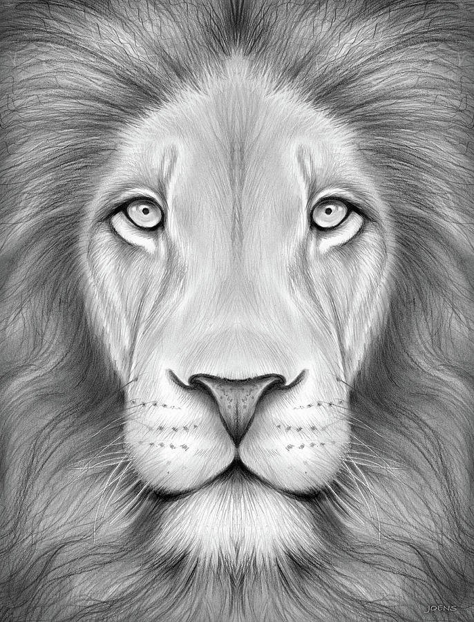 Lion Head Plains Tattoo Drawing Ideas