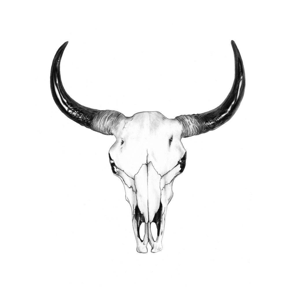 Longhorn Skull Drawing New Clock Bull Skull Tattoos Bull Tattoos Western Tattoos