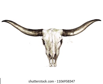 Longhorn Skull Watercolor Illustration Stock Illustration 1106958347 Shutterstock Stier