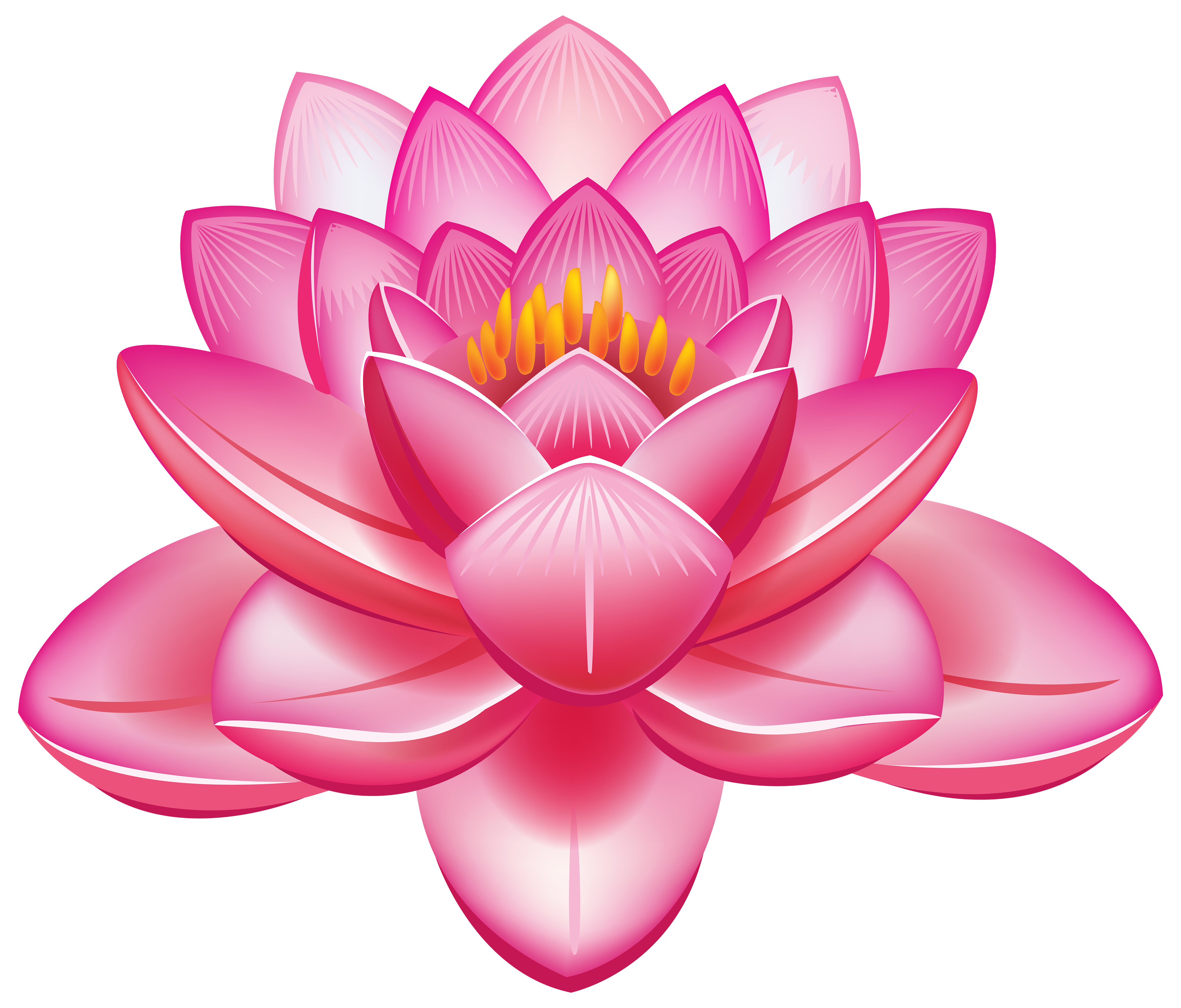 Lotus Flower Tattoo Design White Background Png File Download High