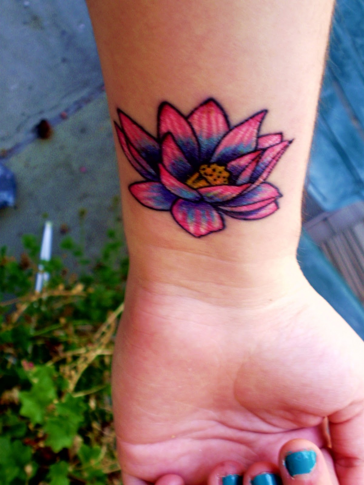 Lotus Tattoos Tattoo Designs Tattoo Pictures