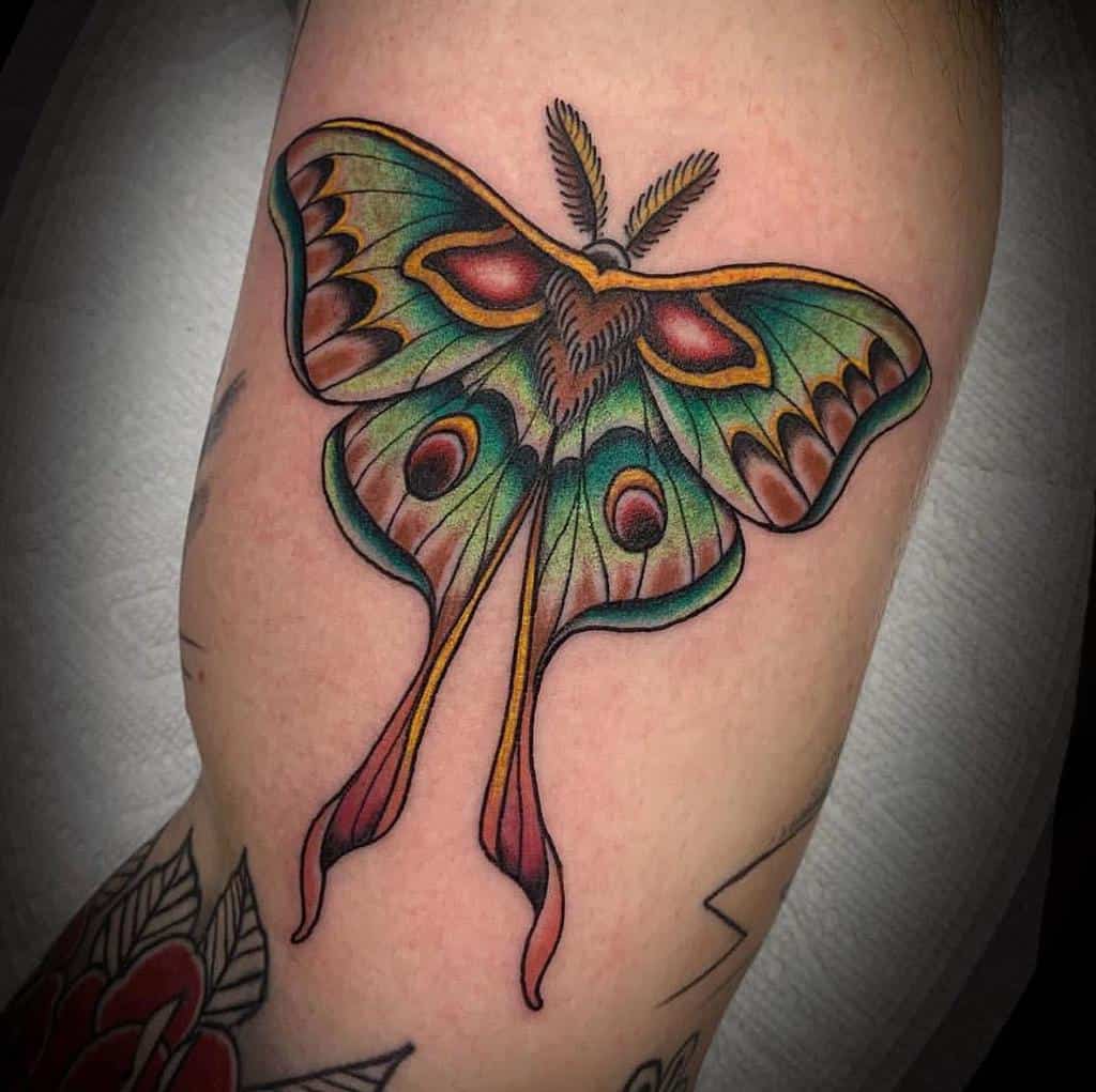 Lunar Moth And Leaves Moth Tattoo Moth Tattoo Design Lunar Moth Tattoo