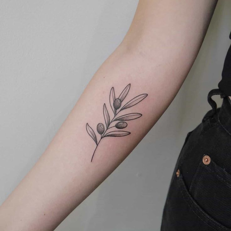 Olive Branch Tattoo: Symbolism and Significance Explained