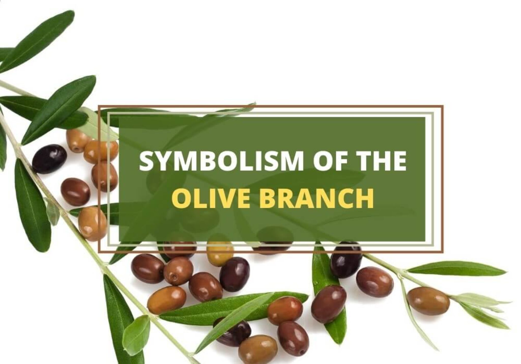 Meaning Of Olive Branch Tattoos Discover The Deep Symbolism