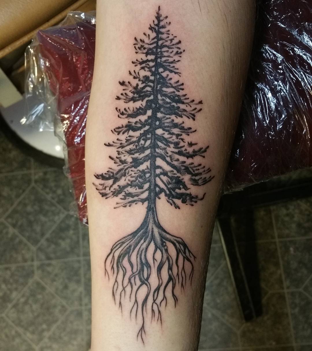 Pine Tree Tattoo Meaning: Symbolism Explained