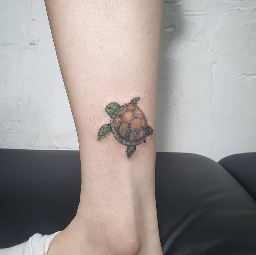 5 Small Turtle Tattoo Ideas with Deep Meanings