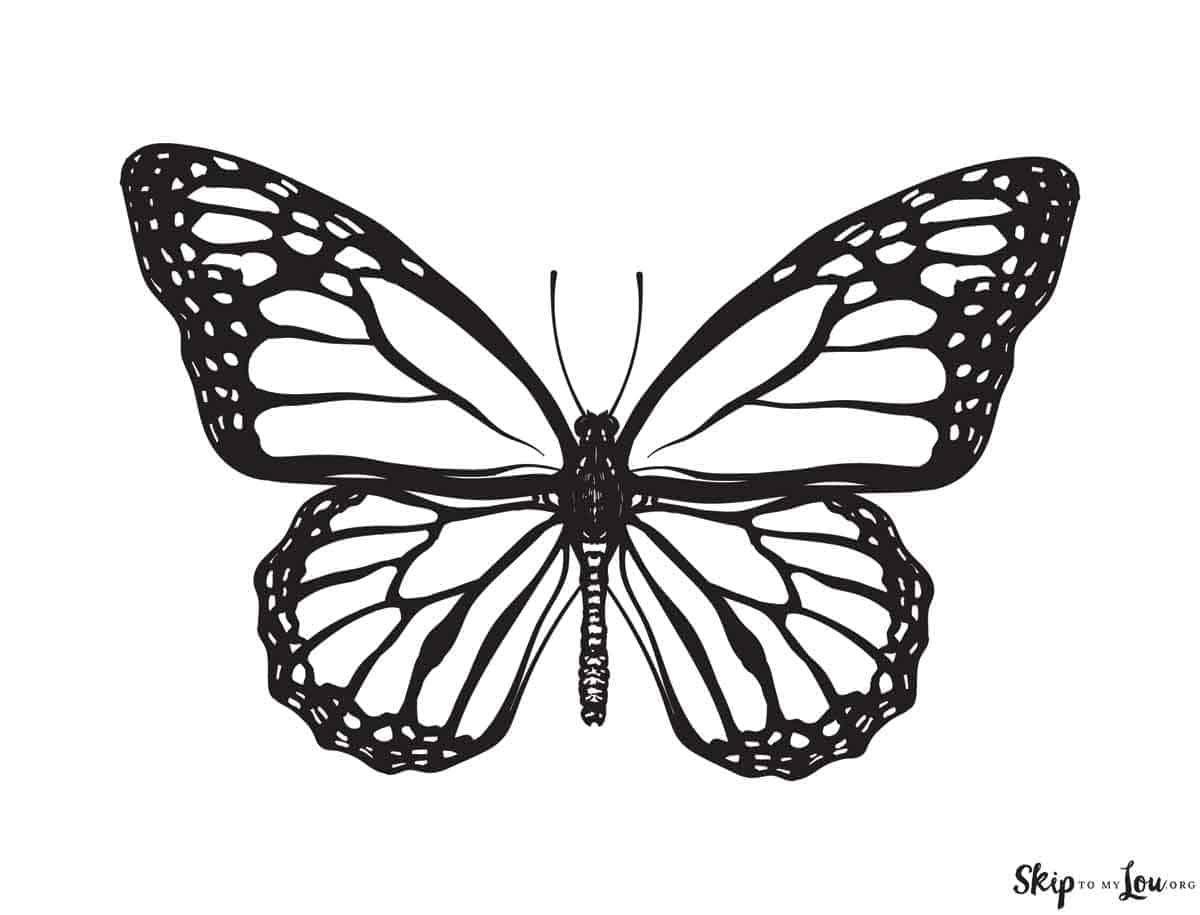 5 Monarch Butterfly Tattoo Outline Tips for Beginners