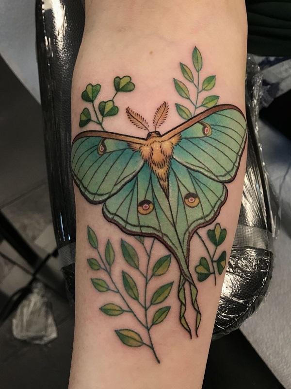 Moth Tattoo Meanings Unveiling The Symbolism Behind The Designs Art