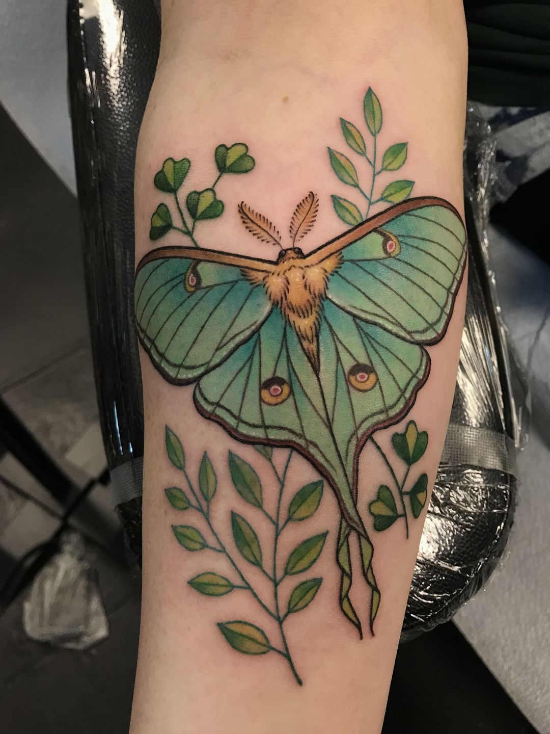 Moth Tattoo The Complete Guide Meaning And Designs