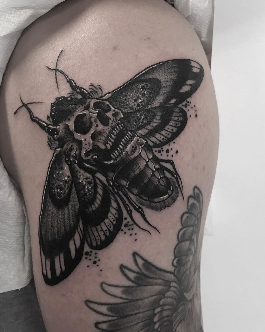 Neil Dransfield With Images Moth Tattoo