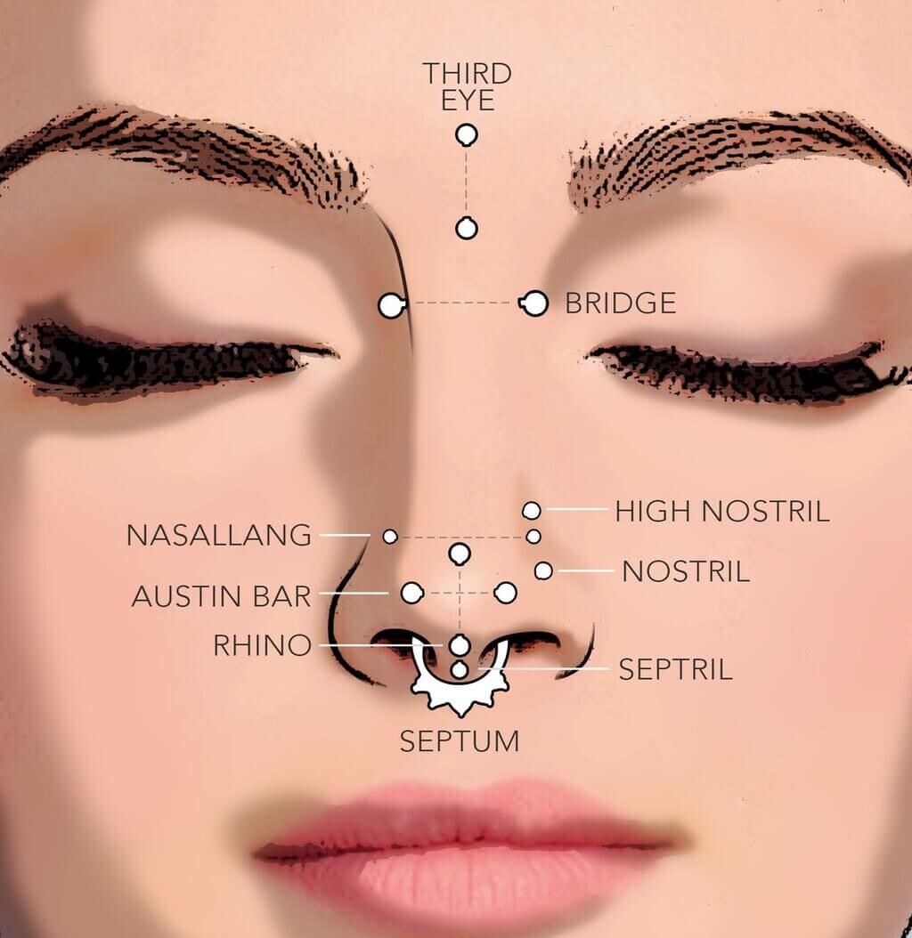 Nose Piercing Types Nose Jewelry Guide Freshtrends