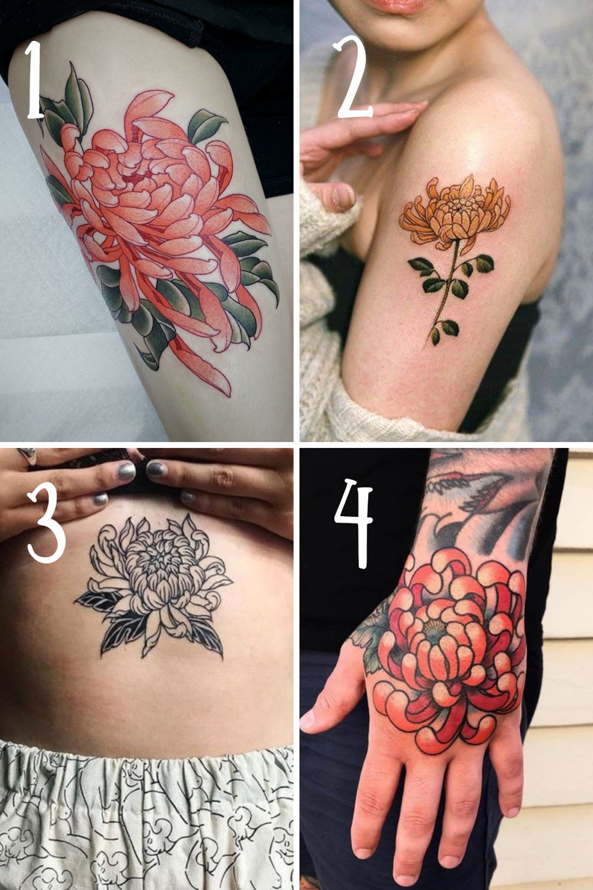 November Birth Flower The Chrysanthemum Tattoo Best Flower Site