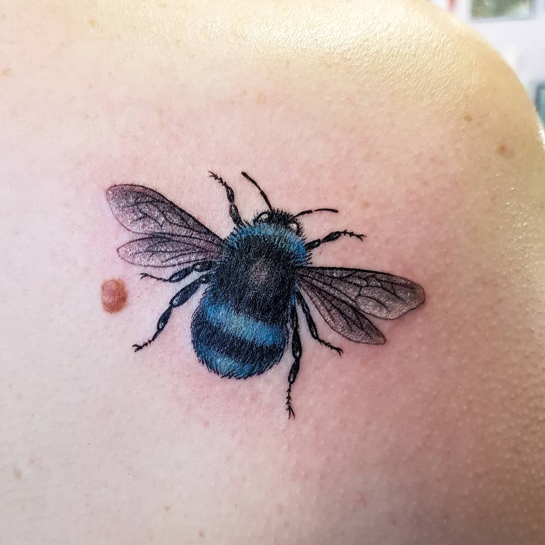 On Instagram Here Is A Blue Bumblebee Blue