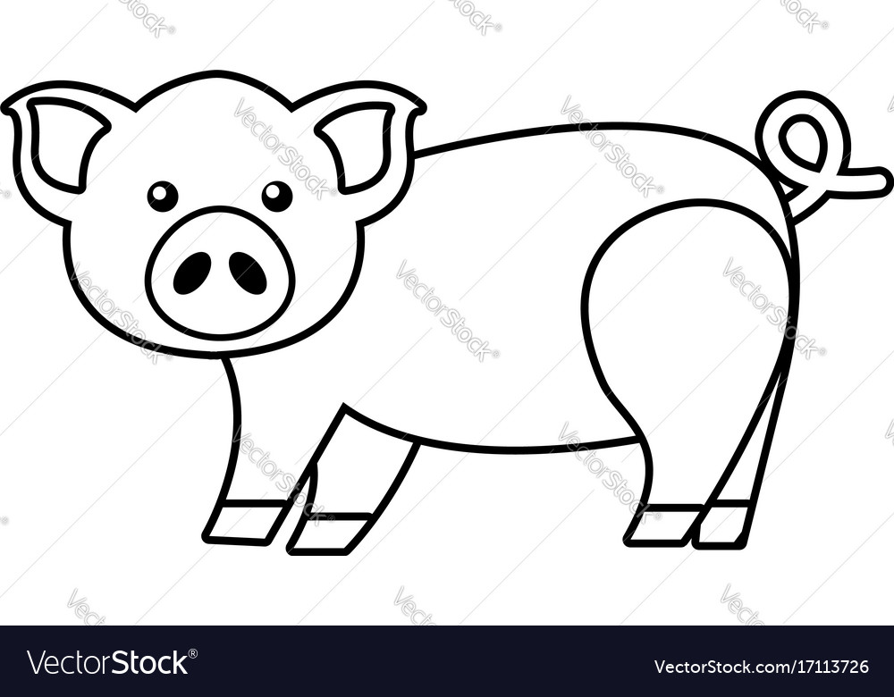 Outline Of A Pig Free Download On Clipartmag