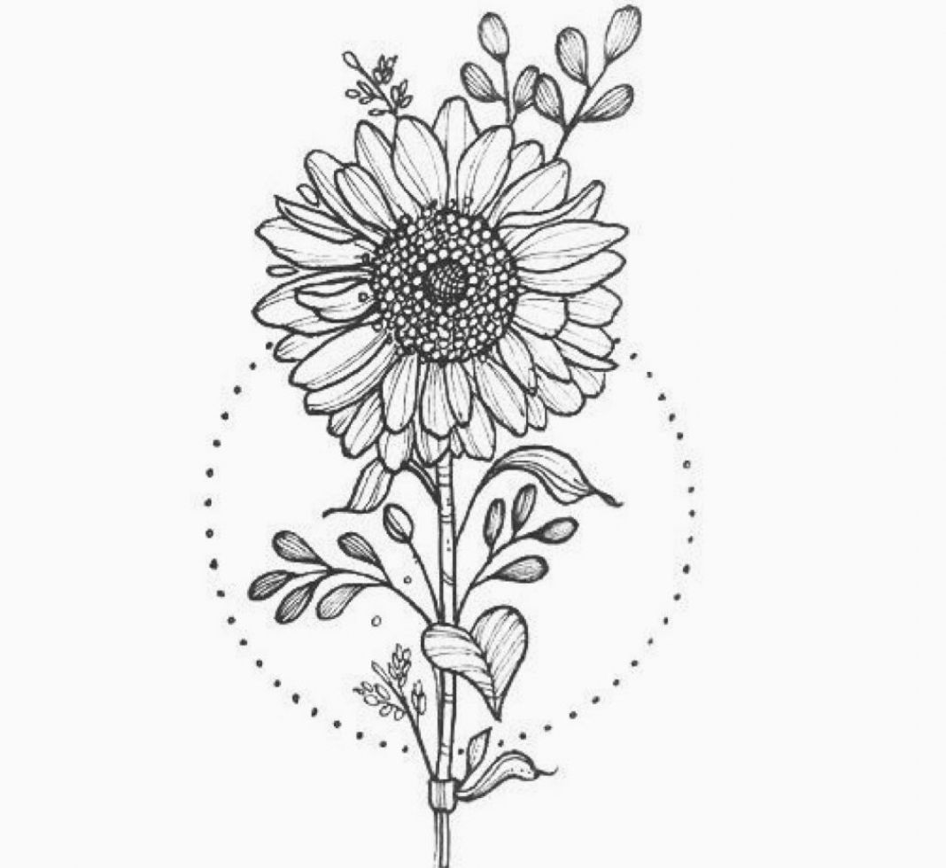 Outline Sunflower Tattoo Drawing Canvas Road