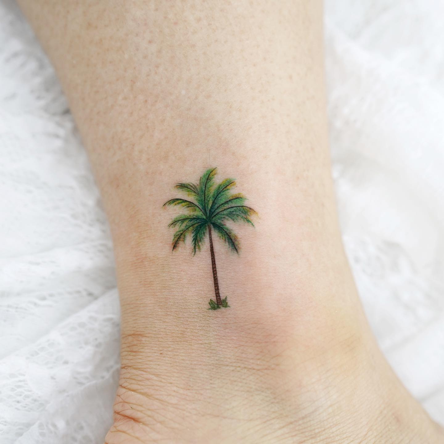 Palm Tree Tattoo Tree Tattoo Family Tree Tattoo Pine Tree Tattoo Willow Tree Tattoo