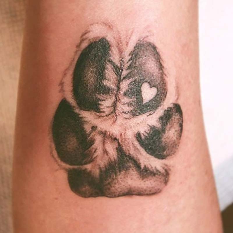 7 Touching Paw Print Memorial Tattoo Ideas