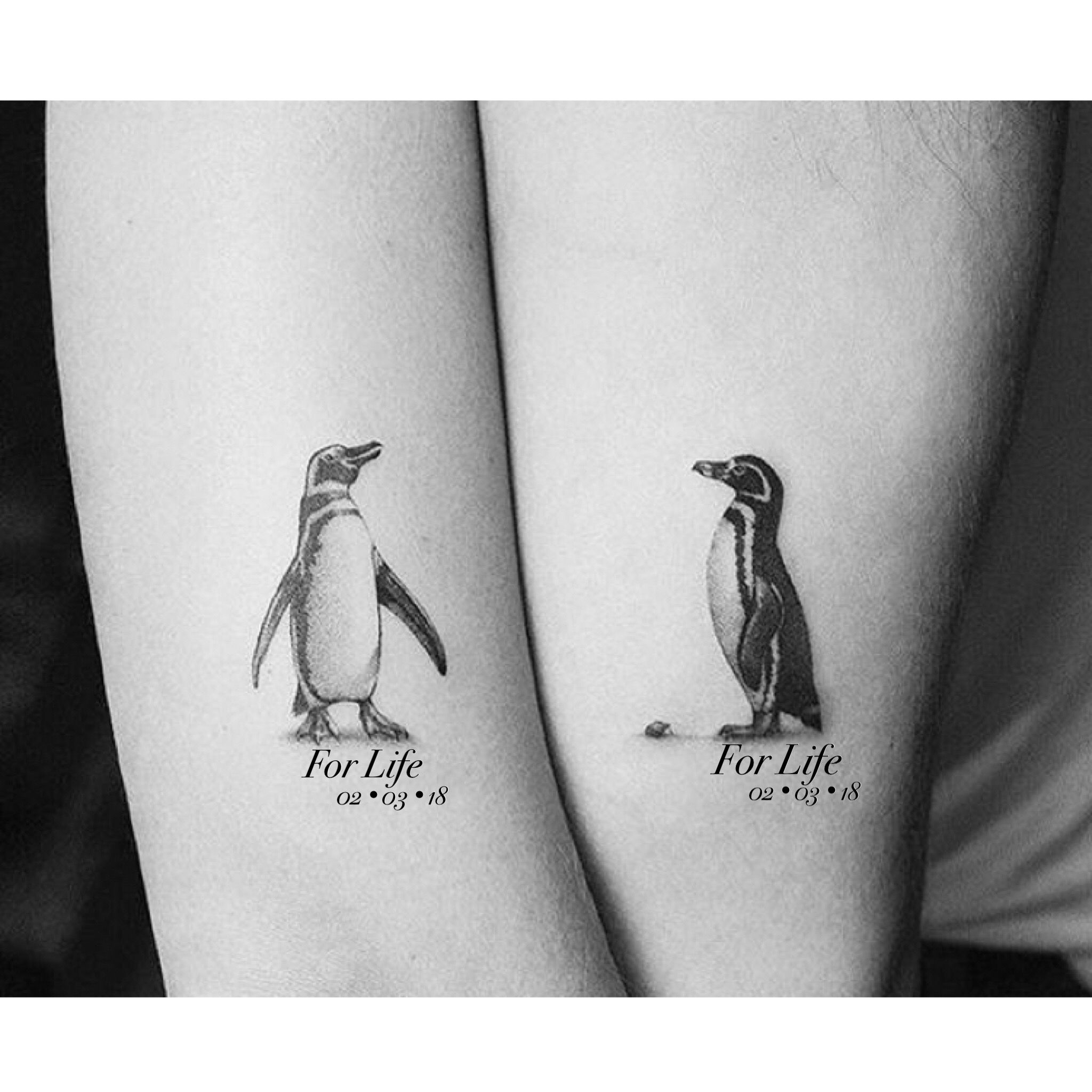 Cute Penguin Tattoos Perfect for Couples