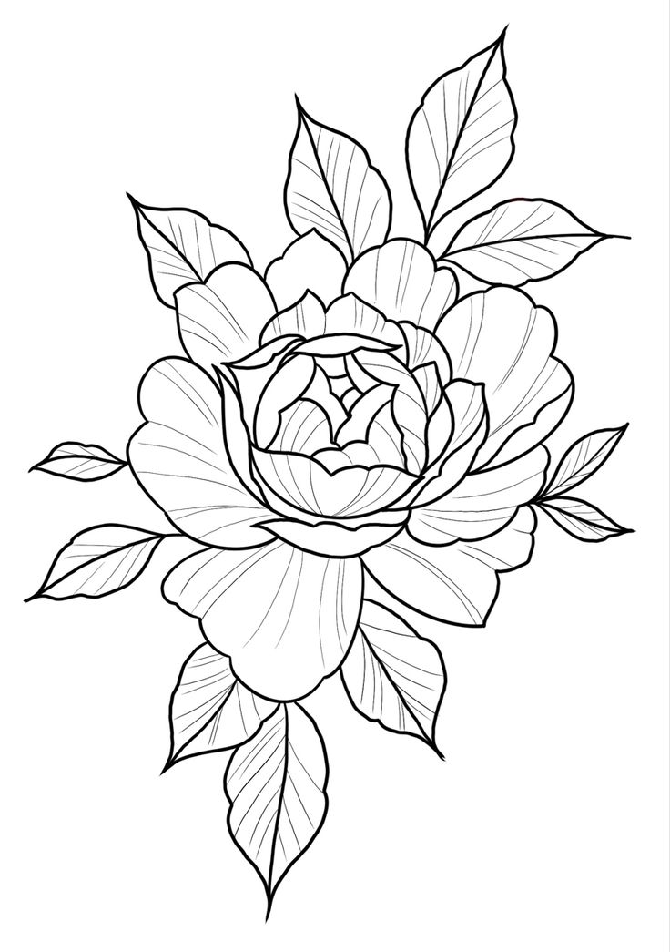 Peonies Floral Tattoo Stencil Japanese Flower Tattoo Tattoo Art