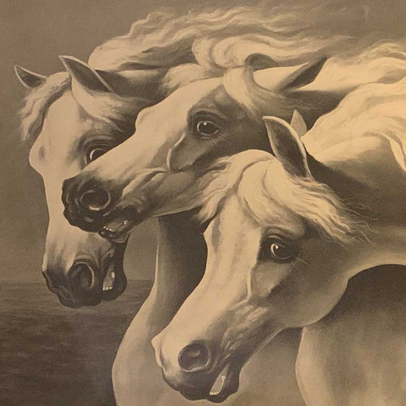 Pharaoh's Horses Tattoo: A Tucson Tattoo Shop Experience