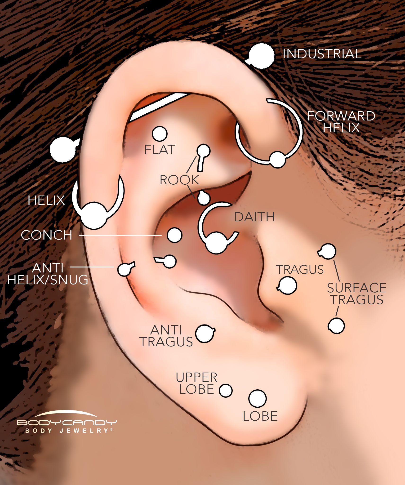 Piercing Guide Types Of Ear Piercings Pamela Love