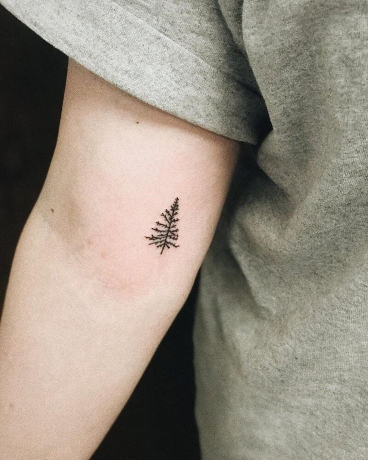 Pin By Elizabeth Lim On Tattoo Ideas Simple Tree Tattoo Pine Tattoo