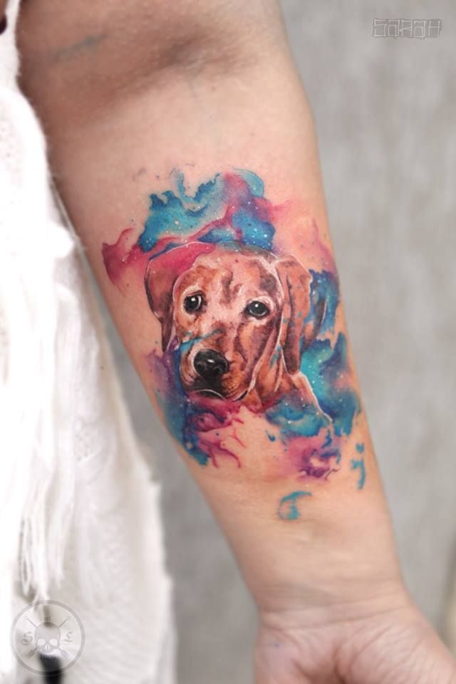 Pin On 1000 Best Dog Tattoo Ideas