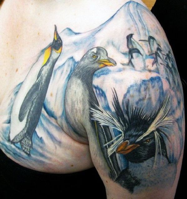 Pinguin Tattoos Pinguin Tattoo Tattoo Spirit Und Tattoo Ideen