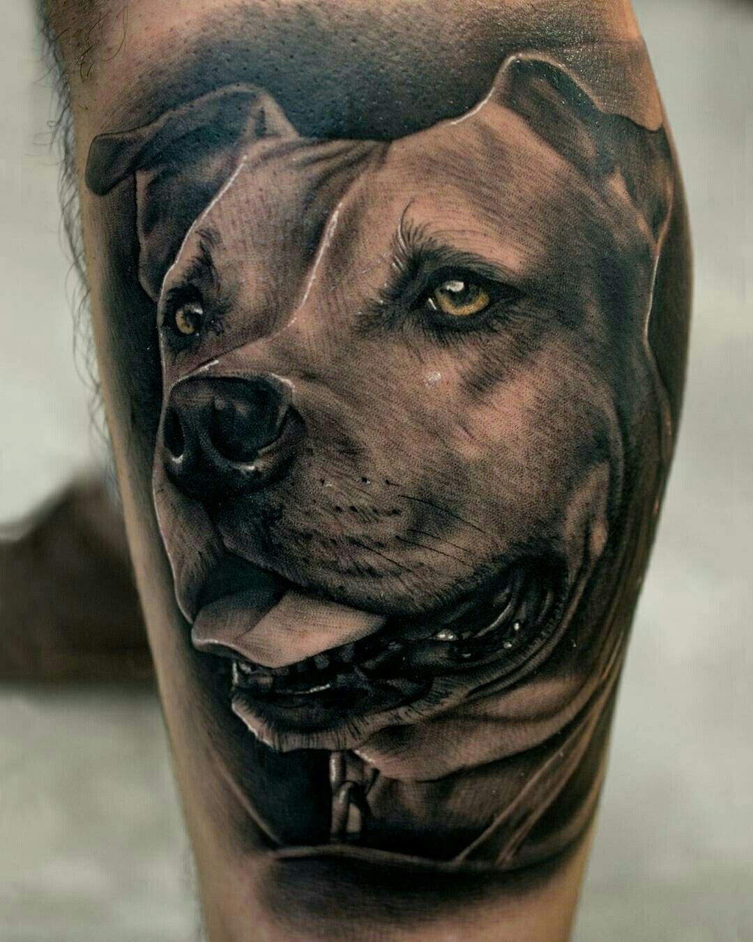 5 Stunning Pitbull Dog Tattoo Ideas You'll Love