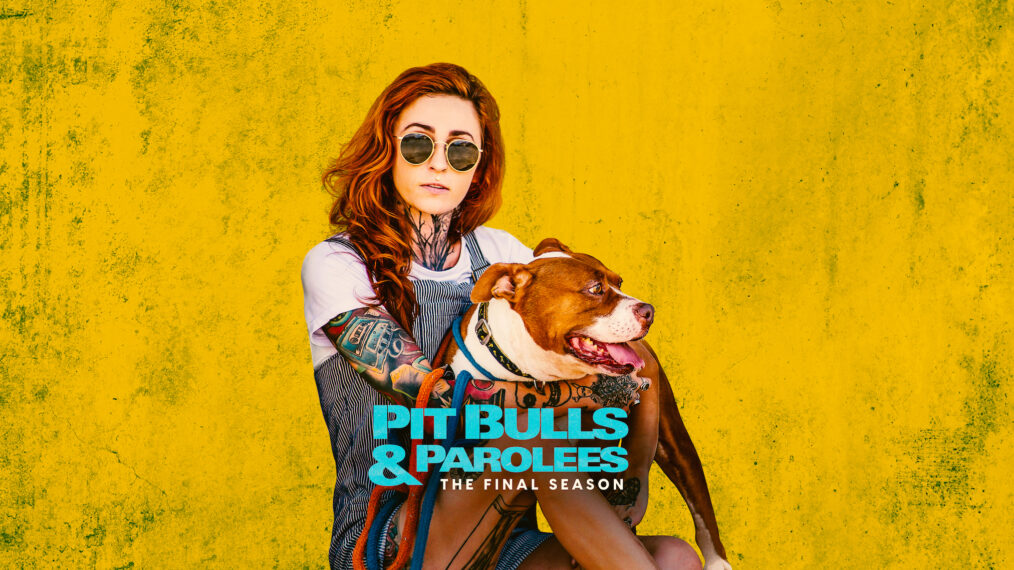 Pitbulls And Parolees Adoptee Ben And Surfing Pitbull Boss Youtube