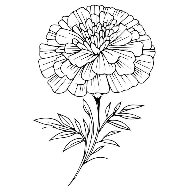 Premium Vector Black Tattoo With Marigold Marigold Single Line