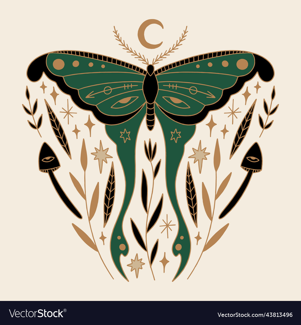 Premium Vector Celestial Grainy Line Geometric Luna Moth With Moon Phases And Flowers Mystic