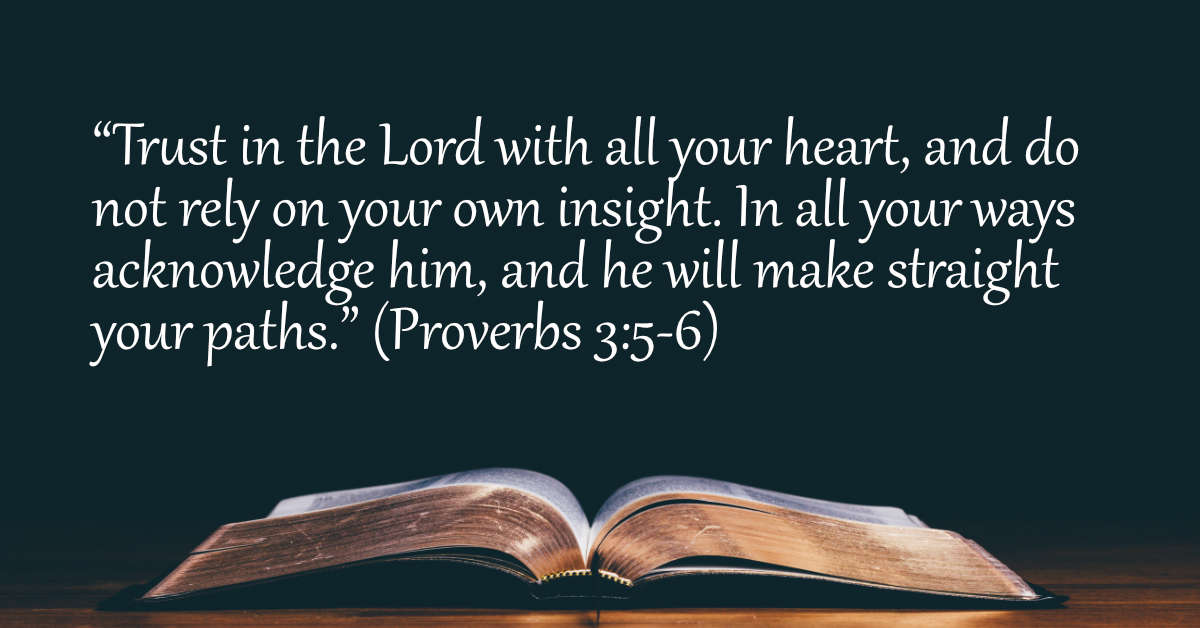 Proverbs 3 5 6 Bible Verse Dailyverses Net