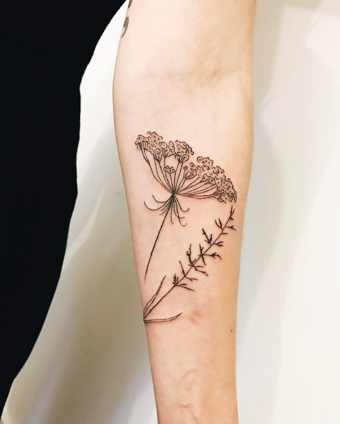 Queen Anne S Lace Tattoo Tattoo People Toronto Jess Chen Tattoo