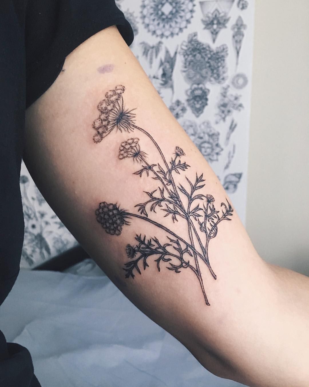 Queen Anne S Lace Ygtattooing Gyachyaana Linework Dotwork