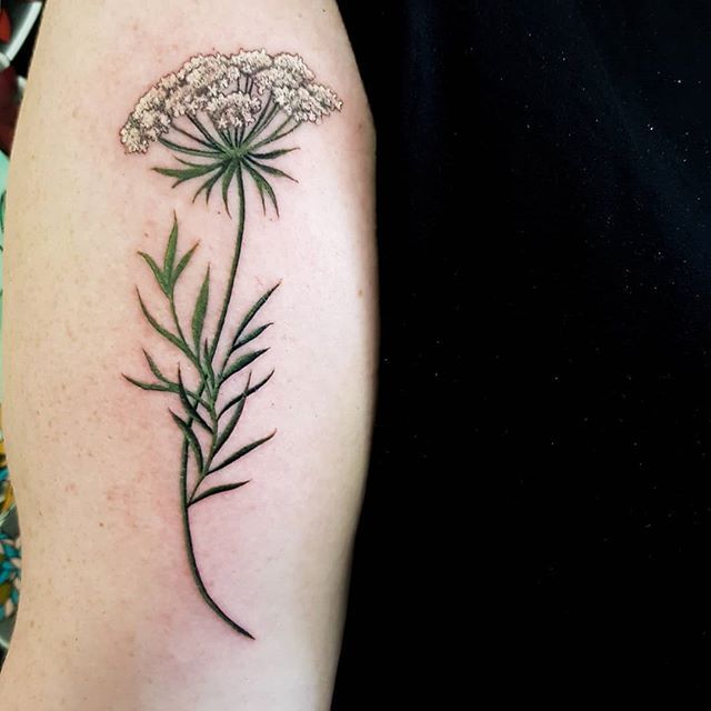 Queen Annes Lace Tattoo By Defiore Tattoogrid Net