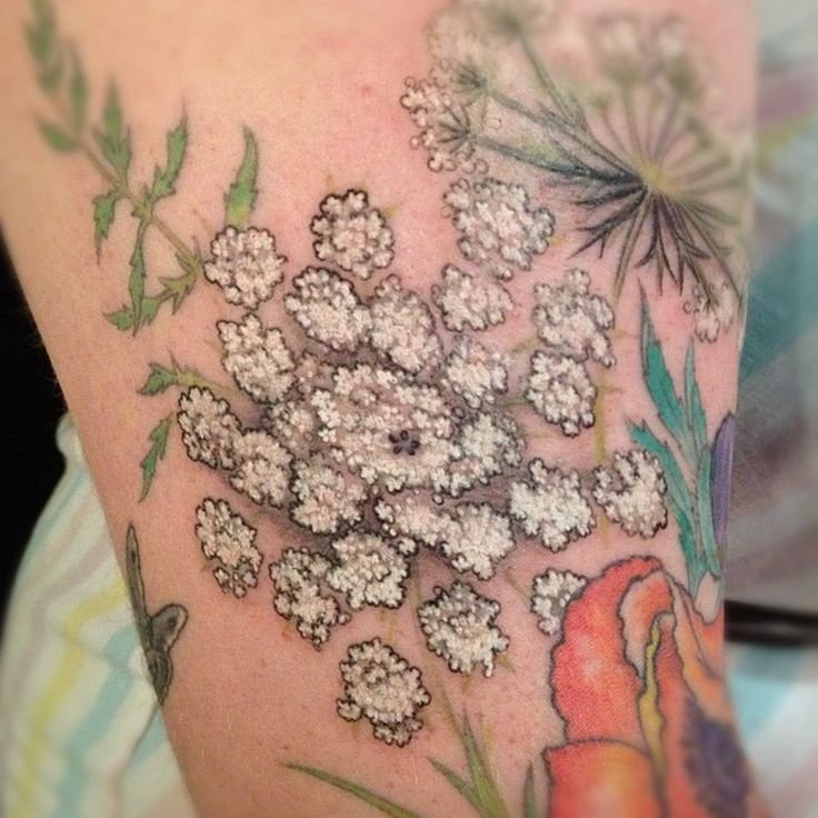 Discover the Elegance: Queen Anne's Lace Tattoo Ideas