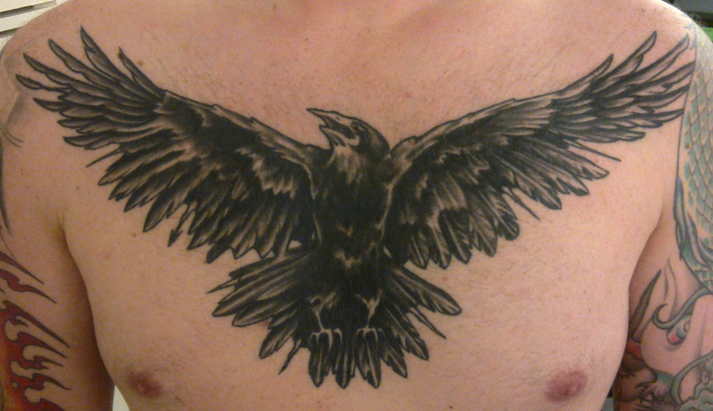 7 Stunning Raven Bird Tattoo Design Ideas